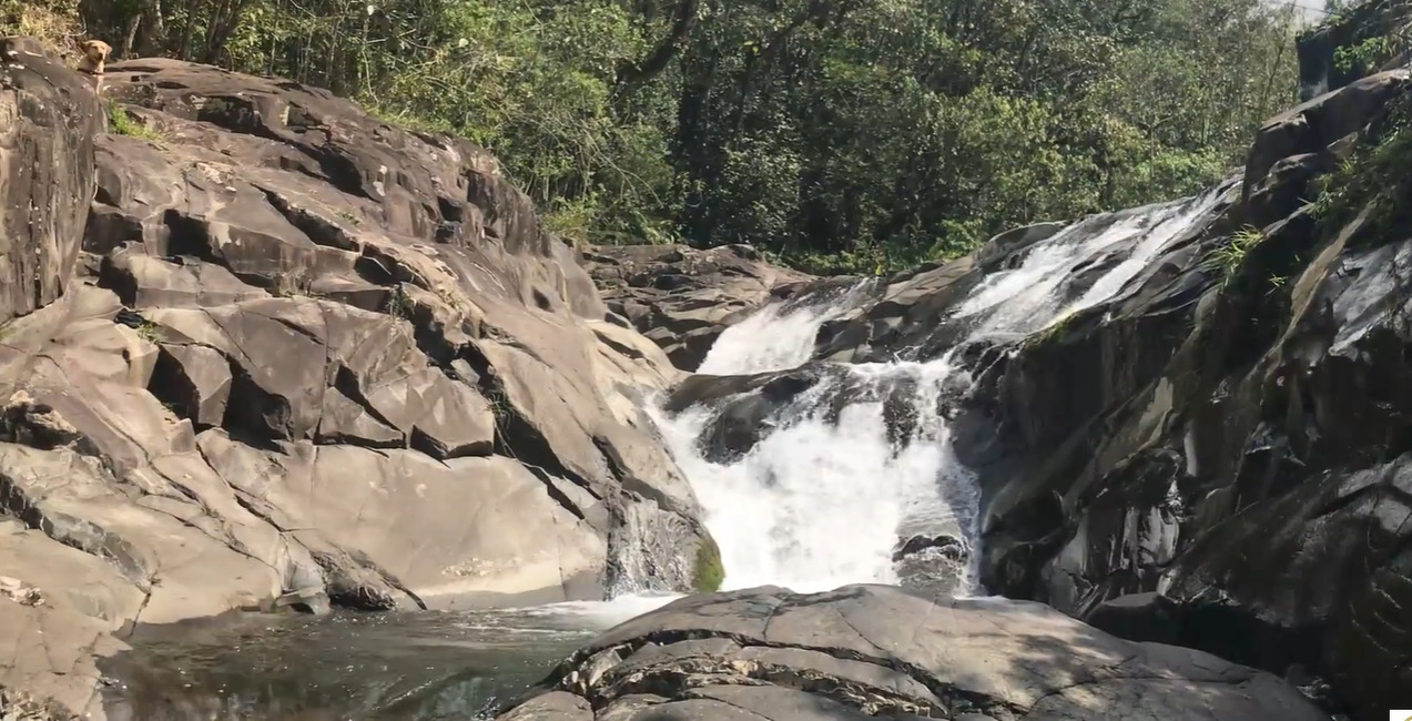 Cachoeira, Treviso