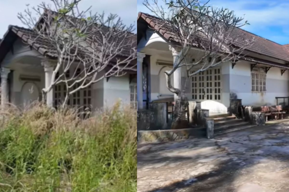 Casa abandonada há 15 anos some no mato, assusta dona com cenário irreconhecível e renasce em transformação intensa após quase 90 horas de trabalho em apenas 10 dias (3)