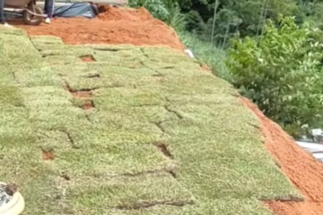 Casal usa caminho de pedras, grama e irrigação com controle pelo celular para renovar a entrada do sítio.