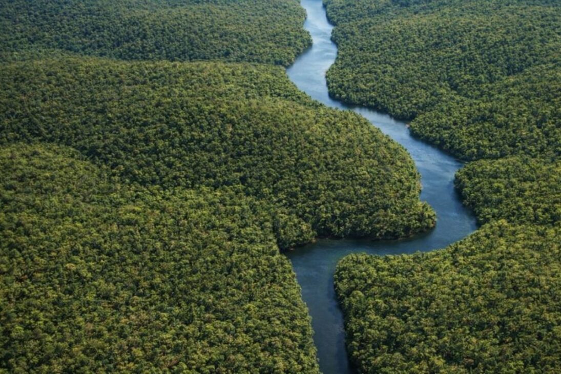 Exército Brasileiro reforça defesa nacional com guerra na selva, Astros e Gripen para desmontar a imagem de fraqueza.