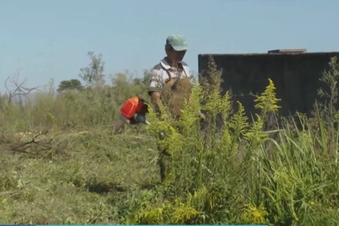 Limpeza de terrenos com aplicativo de limpeza de terrenos para lotes baldios gera renda extra a pequenos trabalhadores.