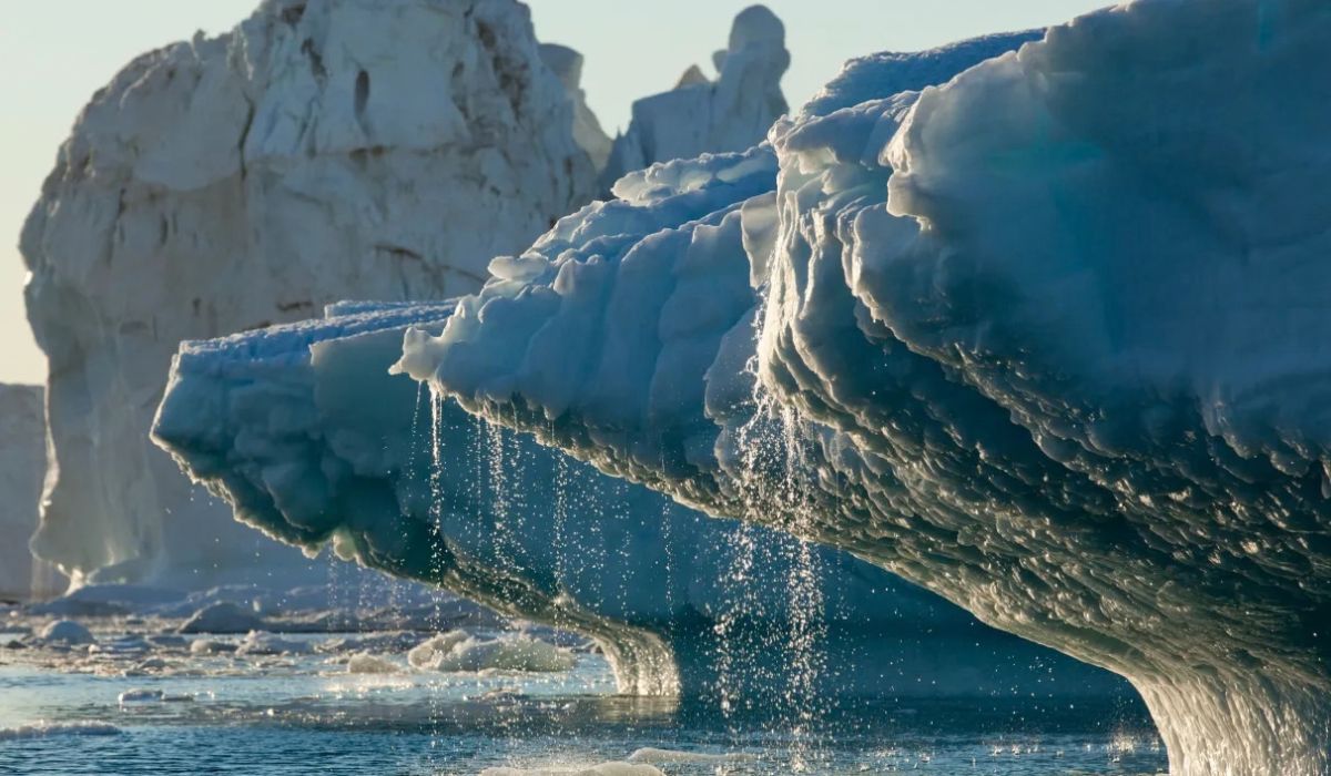 (Imagem: Paul Souders/Getty Images)