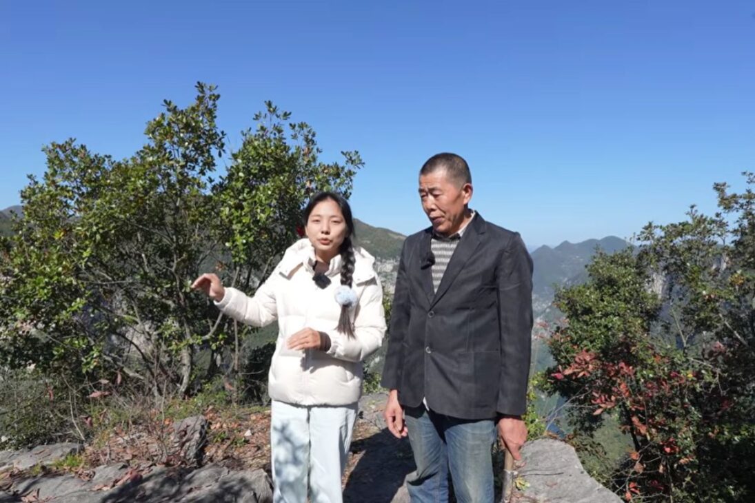 homem na China abre trilha panorâmica de cinco quilômetros em penhasco e transforma paisagem isolada com trabalho manual.
