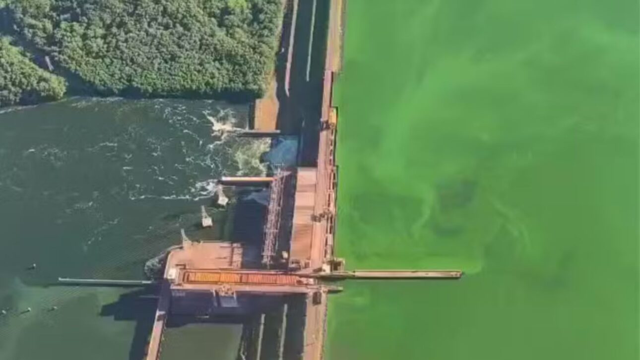 Mancha de algas cobre 105 km no Rio Tietê, afeta quatro cidades paulistas e provoca alerta por eutrofização, mau cheiro e risco à vida aquática. Foto: Adalberto Carvalho e Thiago Henrique da Silva/Arquivo pessoal