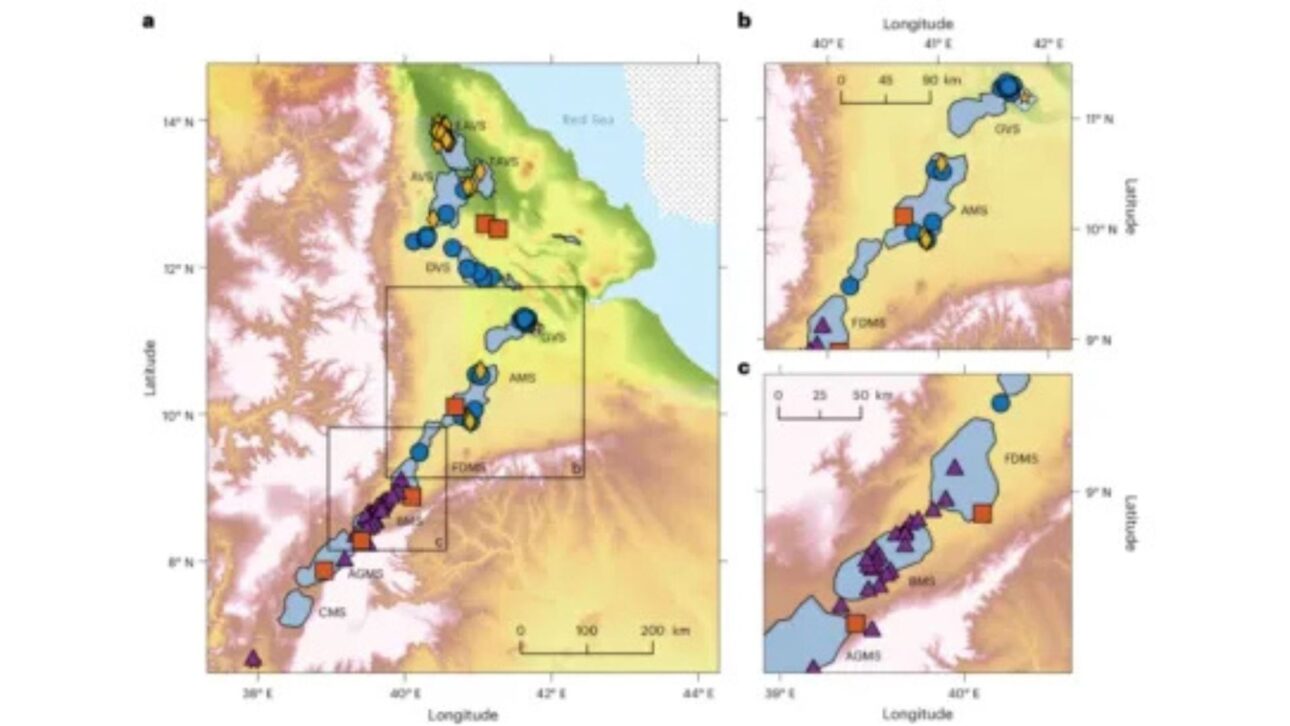 Cientistas detectam lenta separação geológica na África oriental, onde três riftes se afastam 15 mm ao ano e podem dar origem a um novo oceano. Imagem: Pesquisa/Revista Nature
