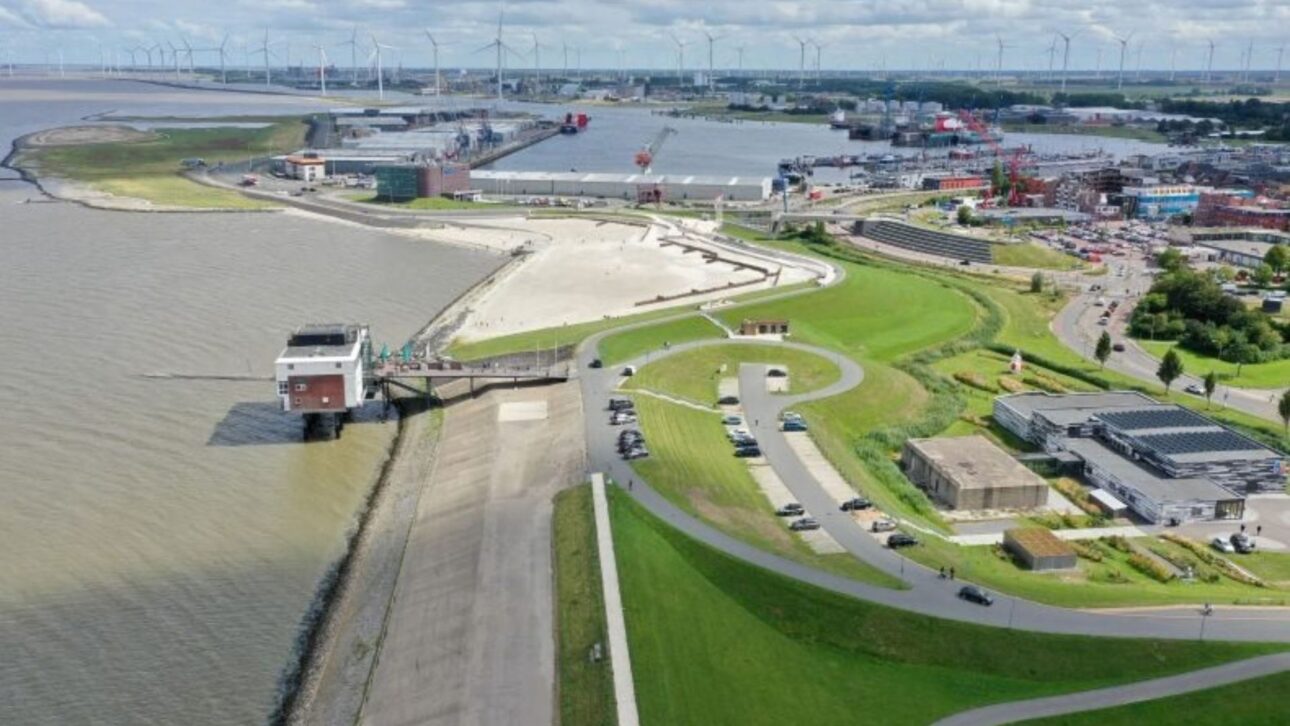 Holanda cria sapal de 15 hectares com barragens de galhos e 1,35 milhão de plantas para reforçar a proteção costeira contra o avanço do mar.
