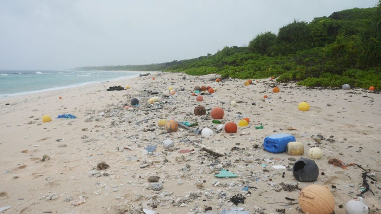 Navio-laboratório remove 9,3 toneladas de plástico da ilha Henderson e inspira ação global da UNESCO para limpar santuários marinhos.