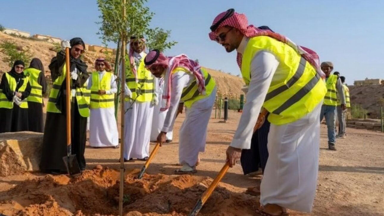 Plano da Arábia Saudita para plantar 10 bilhões de árvores no deserto promete reduzir o calor, mas levanta dúvidas sobre água suficiente.