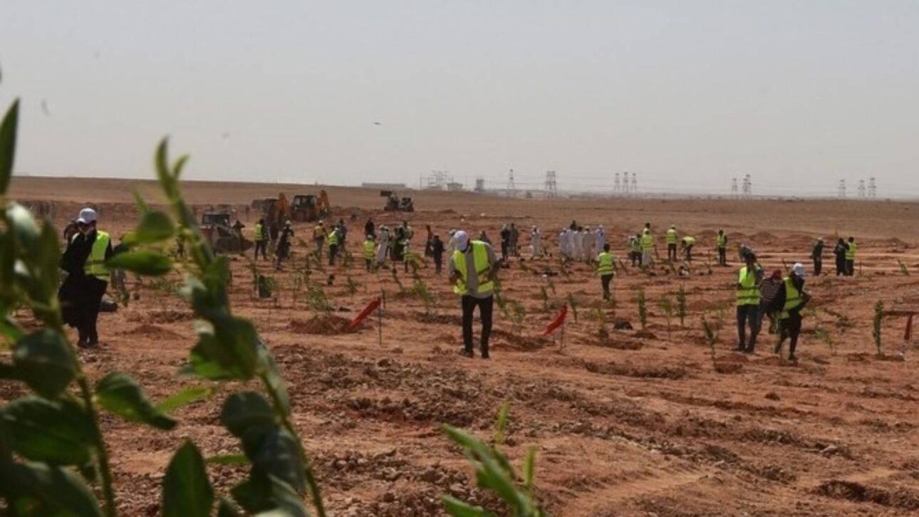 Plano da Arábia Saudita para plantar 10 bilhões de árvores no deserto promete reduzir o calor, mas levanta dúvidas sobre água suficiente.