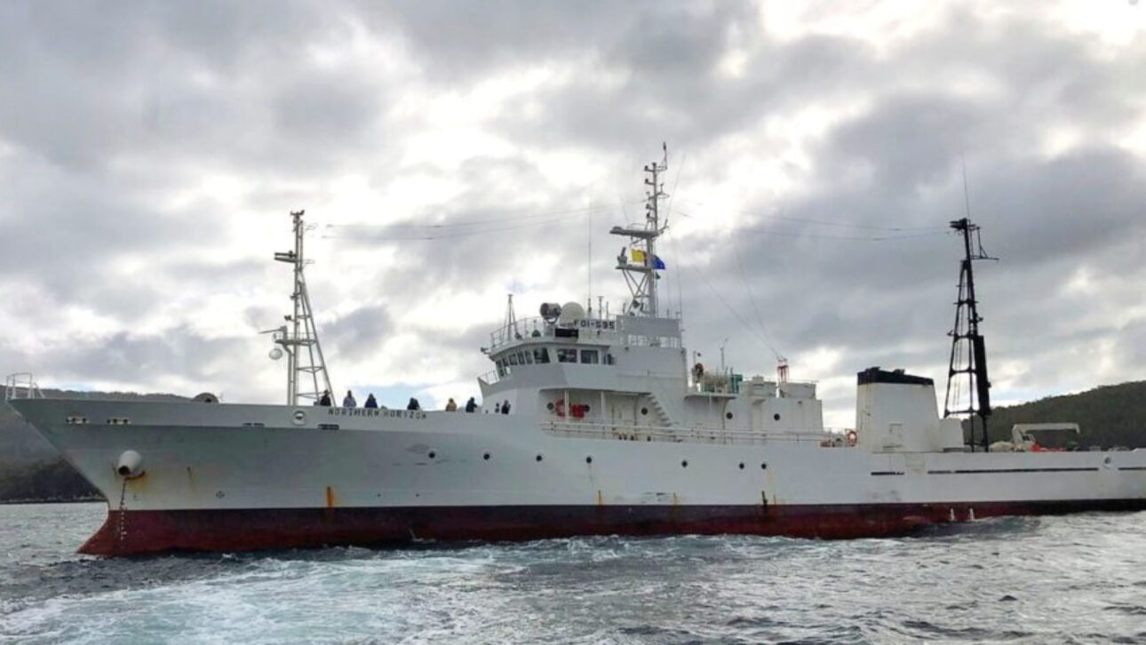 Navio que saiu da Antártica chega ao Brasil e revela como a pesca de krill pode afetar baleias, pinguins e o equilíbrio da vida marinha.