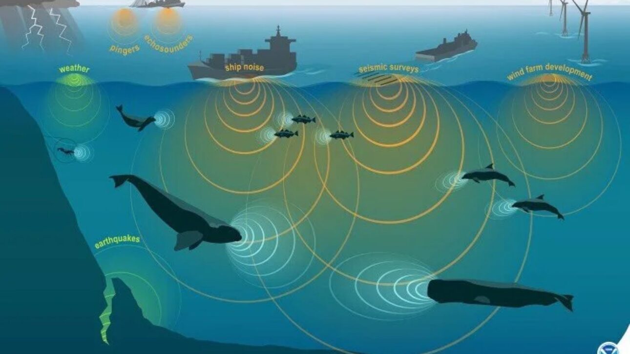 Projeto MinKav busca desenvolver hélices com menos cavitação para reduzir o barulho que os 50 mil navios mercantes causam nos oceanos do mundo.