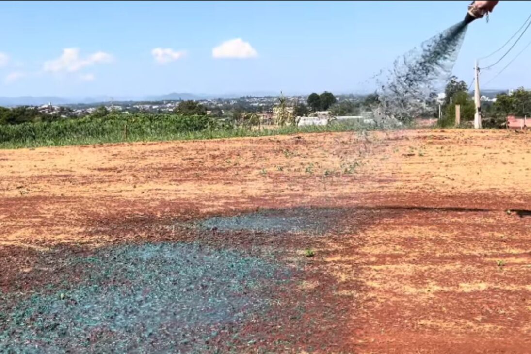 Grama líquida com hidrossemeadura custa menos que a leiva e facilita taludes e terrenos inclinados com cobertura verde mais prática.