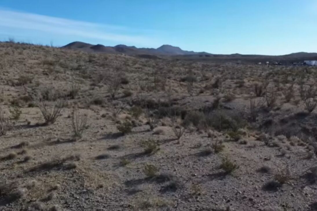 Biochar de planta creosoto melhora o solo, retém água e pode ajudar a restaurar áreas degradadas no deserto.