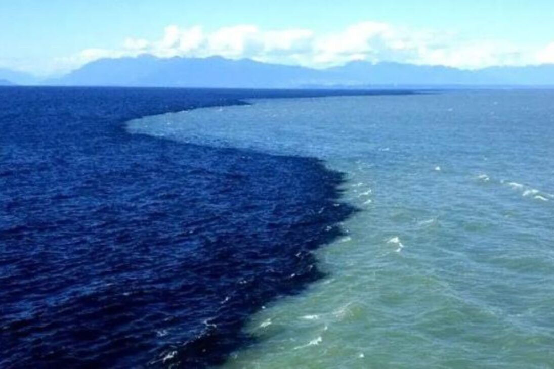 Oceano Pacífico e Atlântico têm superfície diferente por salinidade e circulação oceânica, com impacto no clima global.