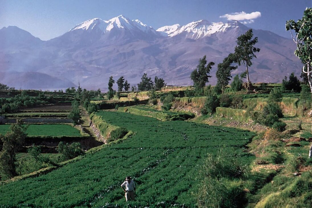 Sistema agrícola nos Andes próximos ao lago Titicaca usava campos elevados e canais de água para produzir mais alimentos.