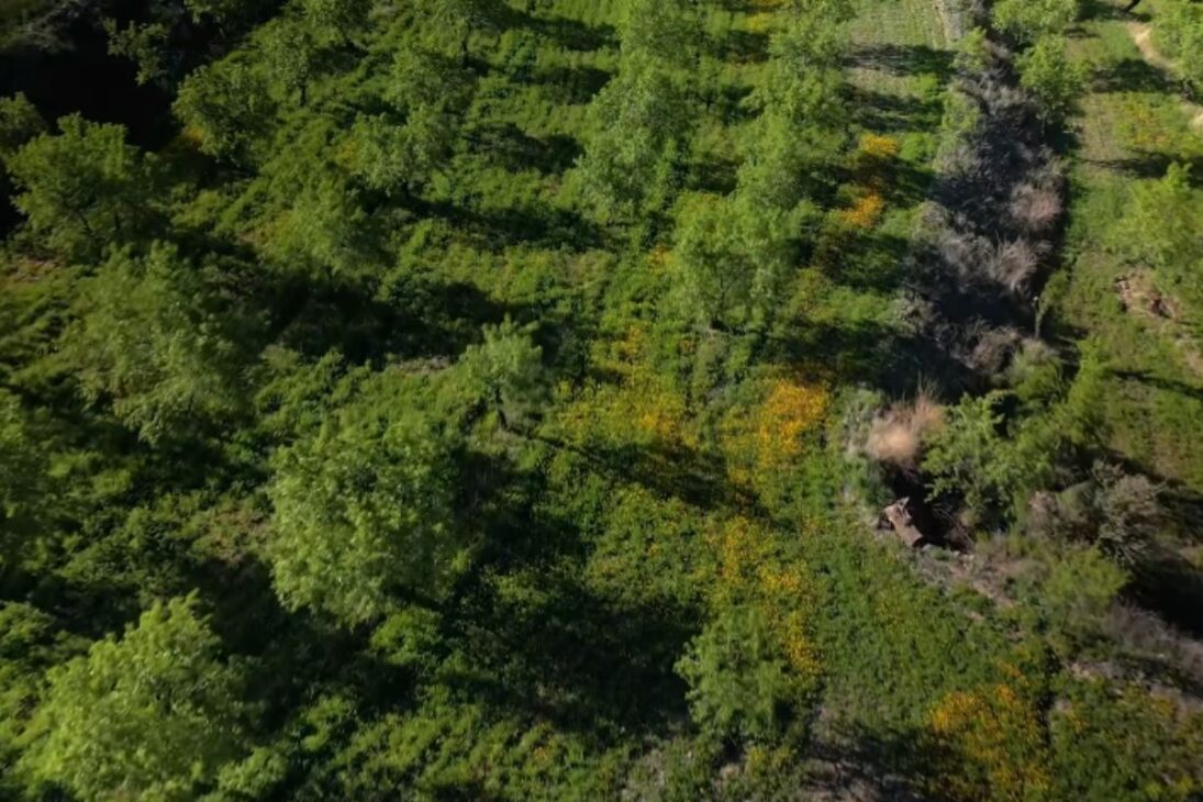 Vilarejo abandonado no Camp Altiplano mostra como regeneração, biodiversidade e monocultura explicam a virada ecológica na Espanha.