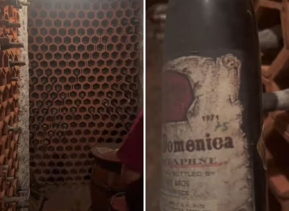 Adega, Vinhos