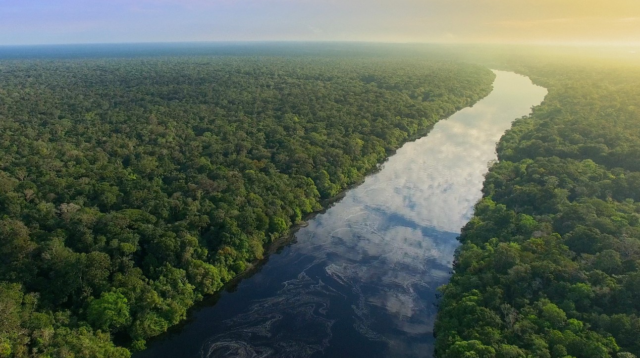 Vista aérea de rio atravessando floresta densa com luz do sol ao fundo.