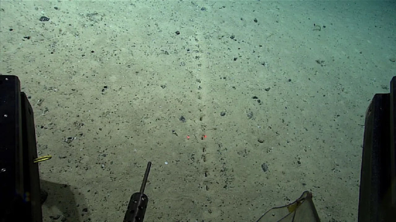A 2.540 metros de profundidade na Dorsal Mesoatlântica, cientistas da NOAA encontraram fileiras de buracos perfeitamente alinhados no fundo do oceano, cada um cercado por pequenos montes de sedimento, o padrão é tão preciso que parece artificial, mas até hoje ninguém sabe o que os criou
