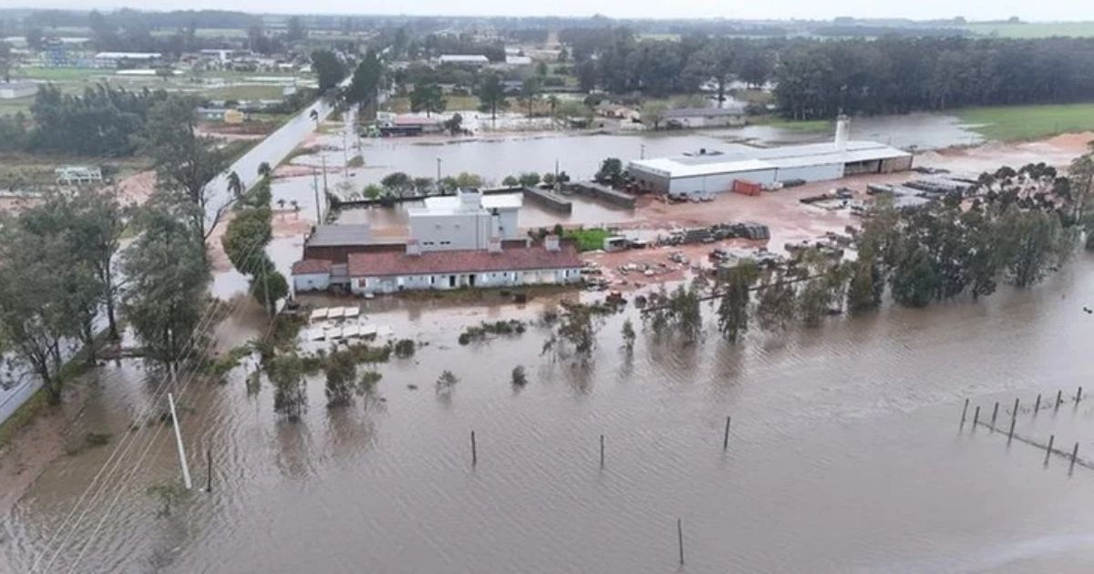 NOAA projeta 83% de chance de El Niño forte em 2026. MetSul alerta para risco de chuvas intensas, enchentes e ciclones no Sul do Brasil.