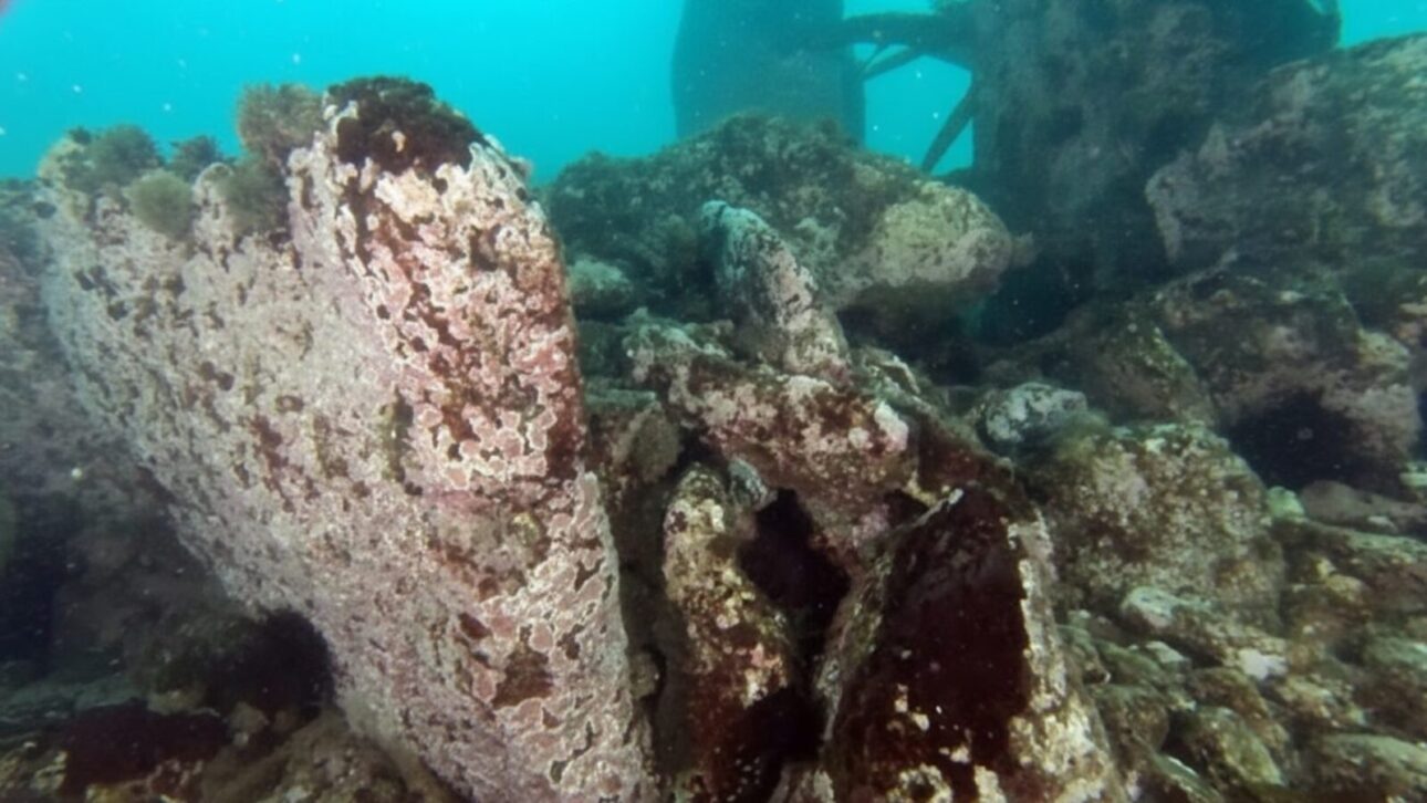 Muralha, Fundo mar