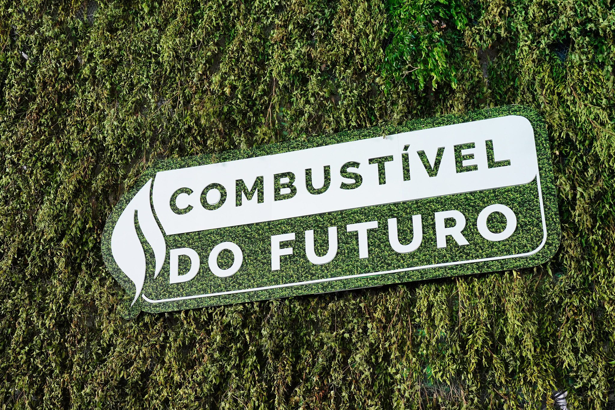 Placa com a frase “Combustível do Futuro” em fundo verde com folhas, representando energia sustentável