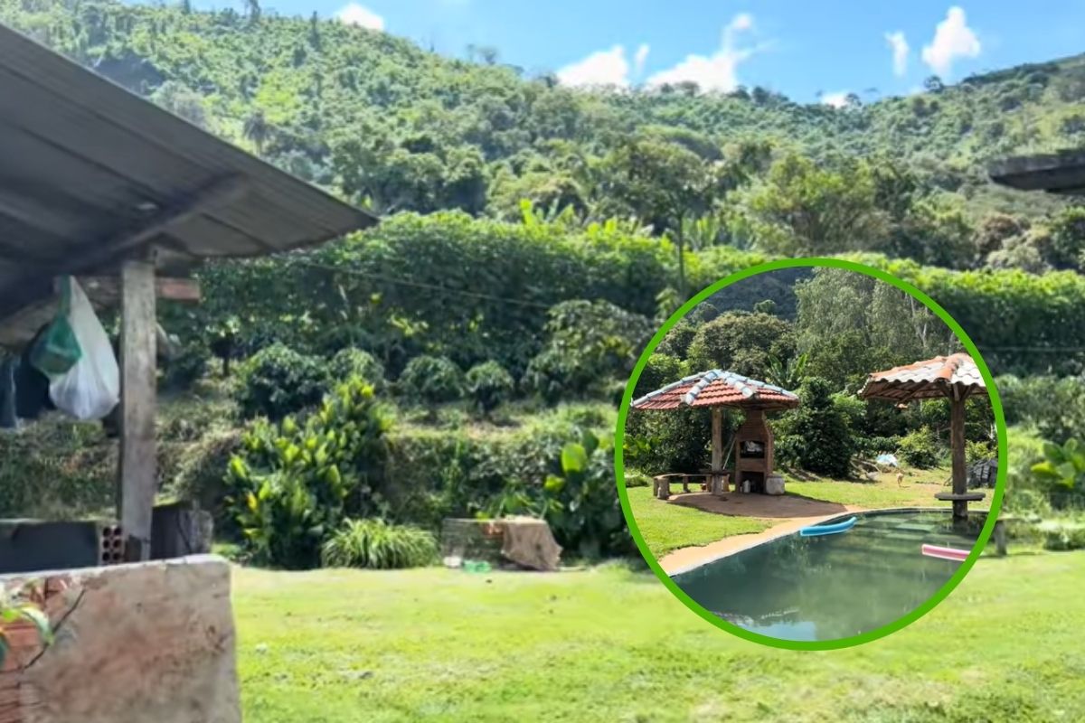 Casa sem porta e sem janela morador vive no alto da serra, diz que gosta da “vida livre”, conta que o gato entra e sai caçando morcego e rato, e que quando chove ele acorda