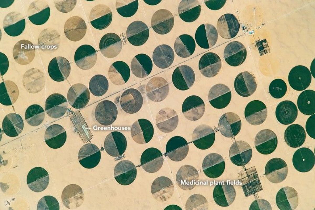 Círculos nas plantações do Saara ISS revela Sharq El Owainat, no Egito, irrigado por pivô central com água do Aquífero de Arenito da Núbia, crescendo entre 1998 e 2019, a 290 km da cidade