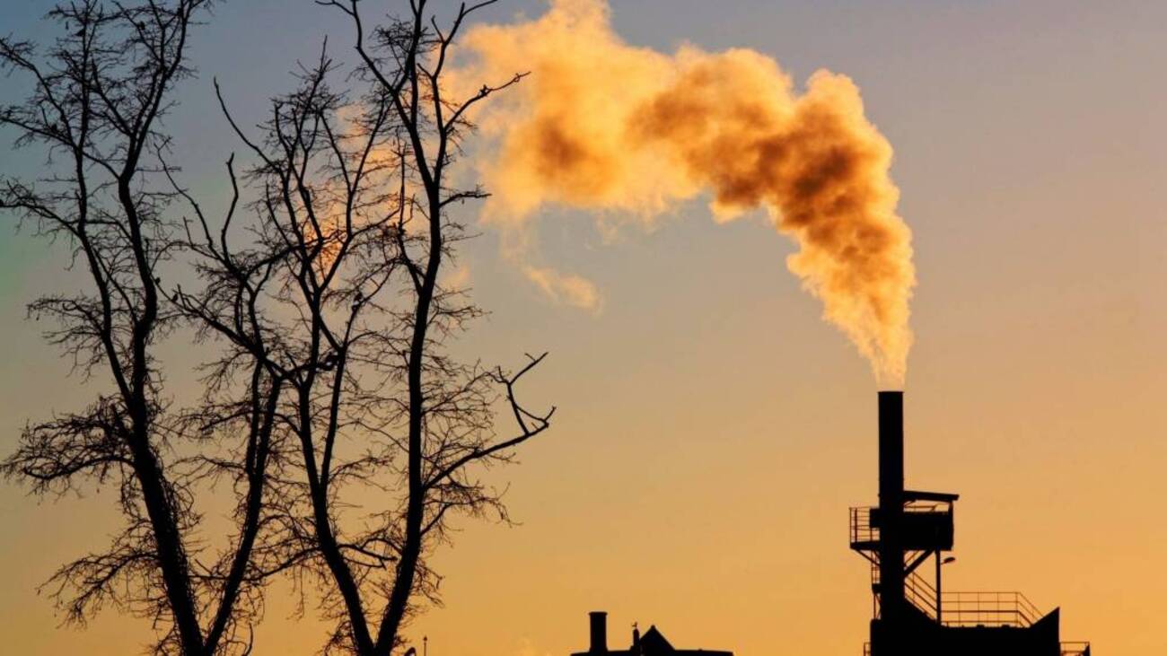 Chaminé industrial emitindo fumaça ao lado de árvores secas ao pôr do sol