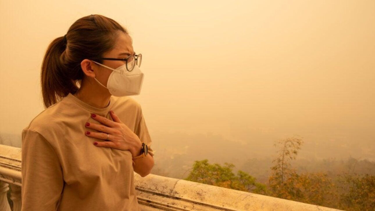 Crise climática pode reduzir até 50% do PIB global e gerar choques econômicos, sociais e financeiros, segundo estudo internacional.