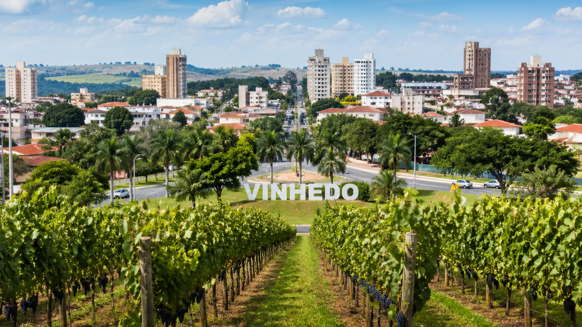 Vinhedo se destaca no interior de SP com IDH alto, PIB per capita de R$ 192 mil, saneamento avançado e qualidade de vida.