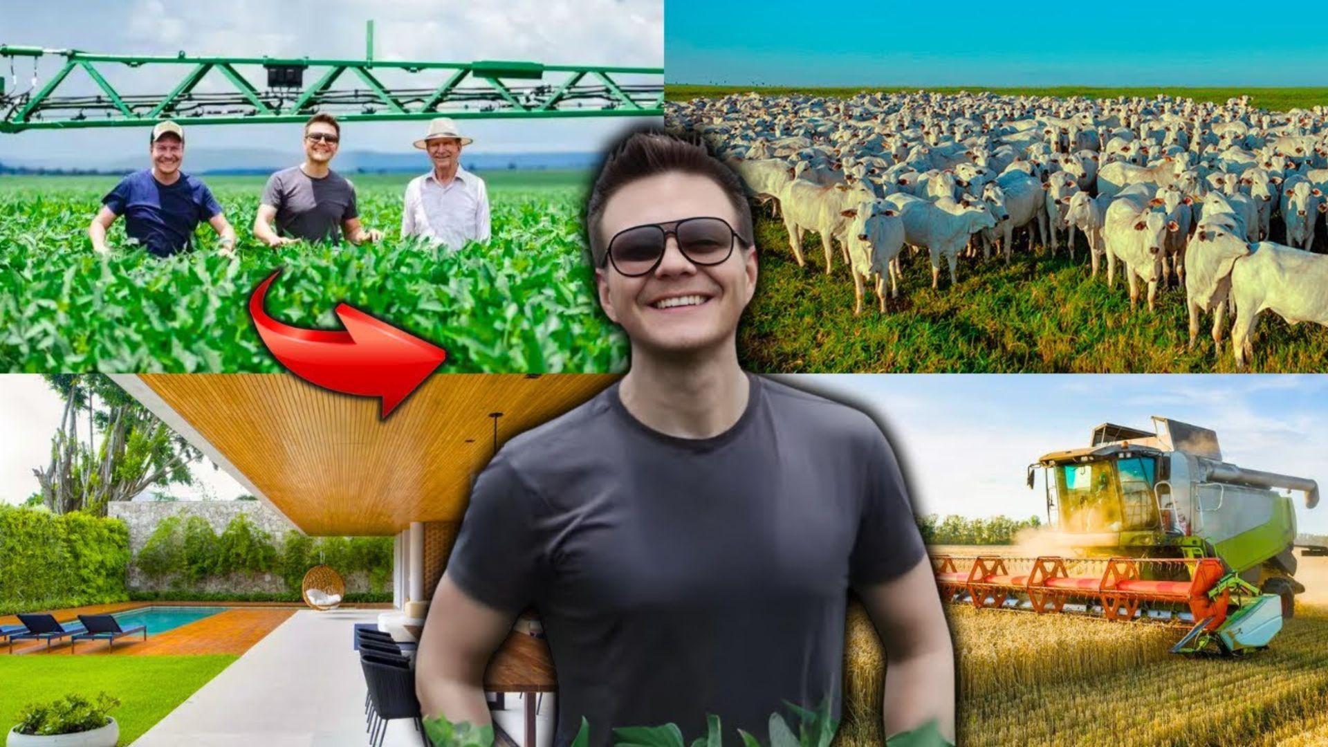 Michel Teló investe em fazenda de 14 mil hectares em Corumbá com gado, soja e tecnologia no agronegócio familiar.