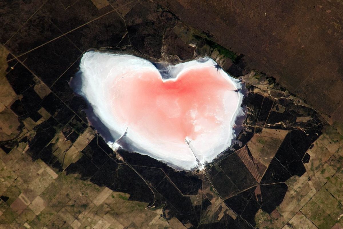 NASA fotografa do espaço lago salgado rosa em forma de coração na Argentina no sul, revelando salinas que mudam com chuva e evaporação, cor gerada por microrganismos halófilos como
