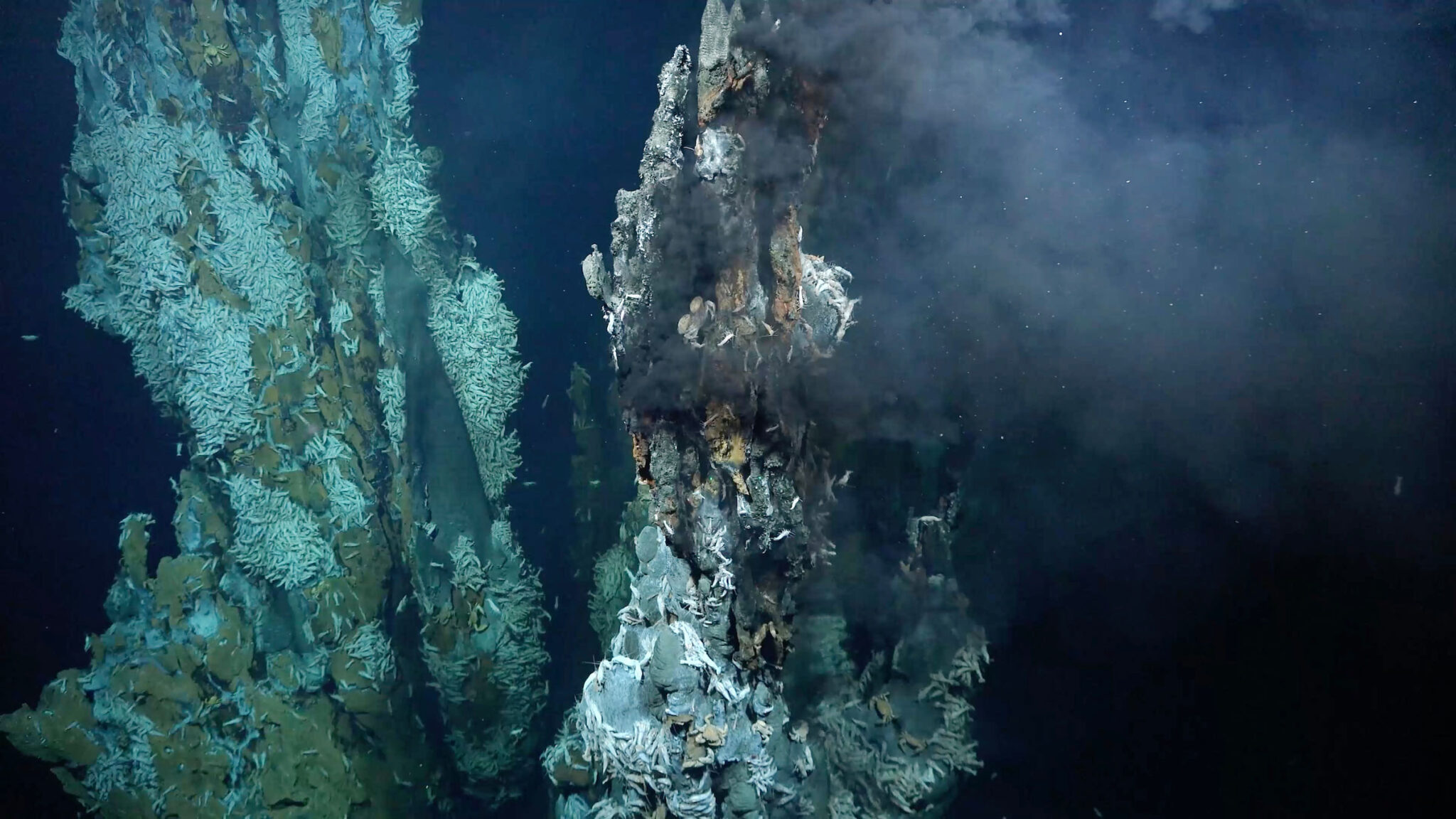Um campo de ventilação hidrotermal de alta temperatura descoberto em Puy des Folles Seamount no Mid-Atlantic Ridge, a aproximadamente 2.000 metros (6.562 pés) de profundidade, durante a expedição Em Busca de Cidades Perdidas Hidrotermais. Imagem cedida pelo Instituto Schmidt Ocean.