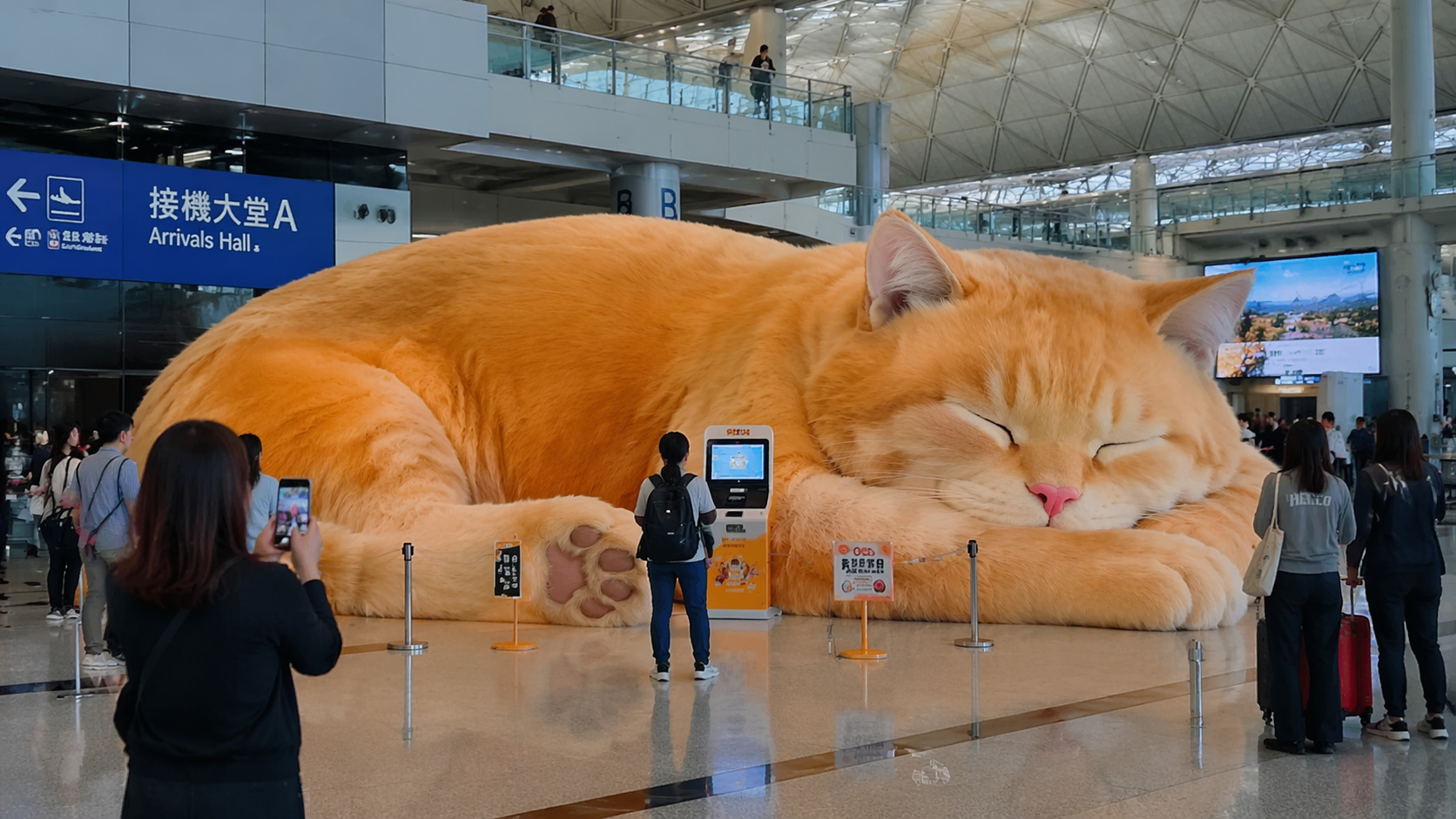 O que parece um gato gigante dormindo no aeroporto de Hong Kong na verdade mede 8 metros