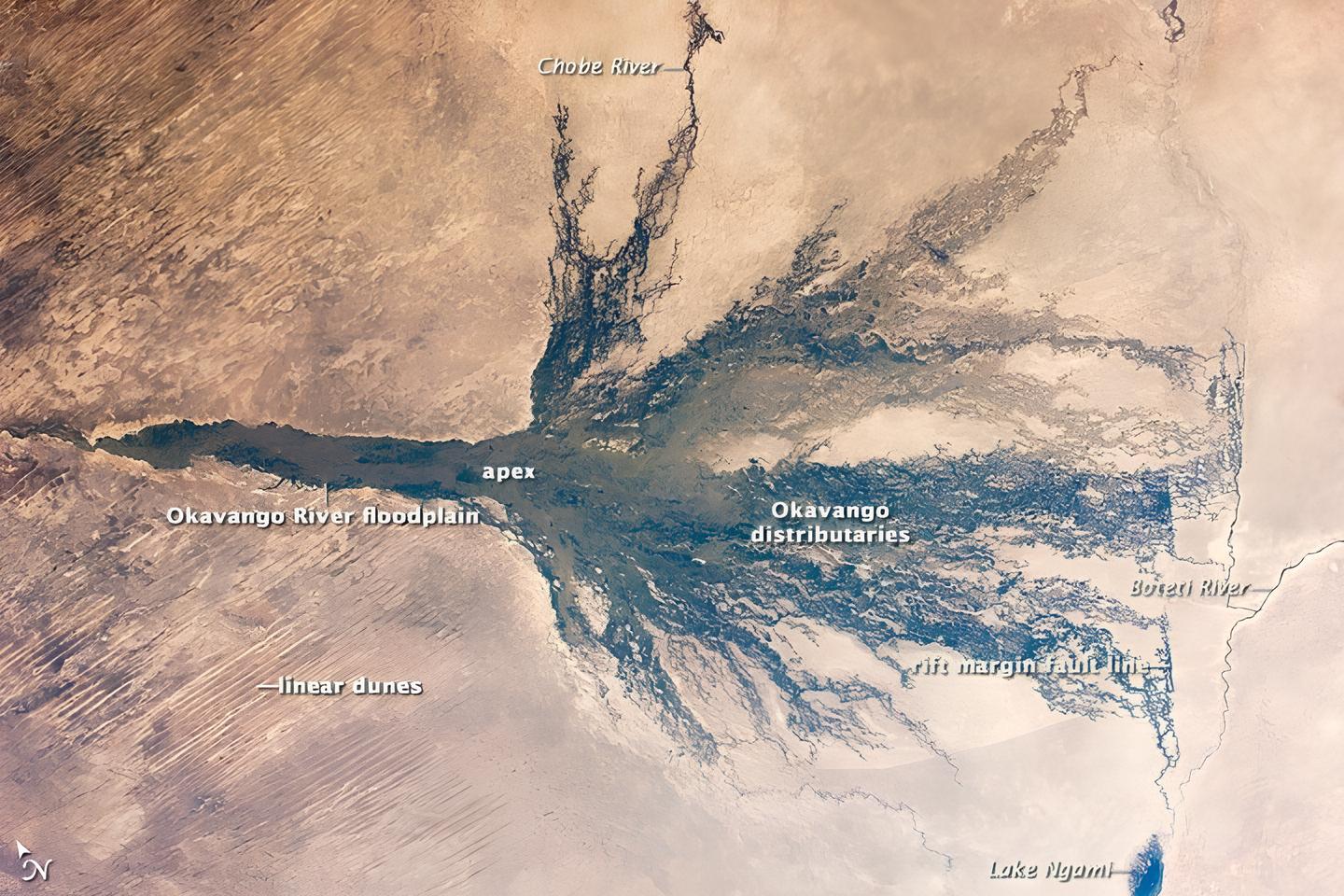 Delta do Okavango desafia a lógica ao surgir no meio do deserto e criar um dos sistemas aquáticos mais dinâmicos e visíveis do espaço.
