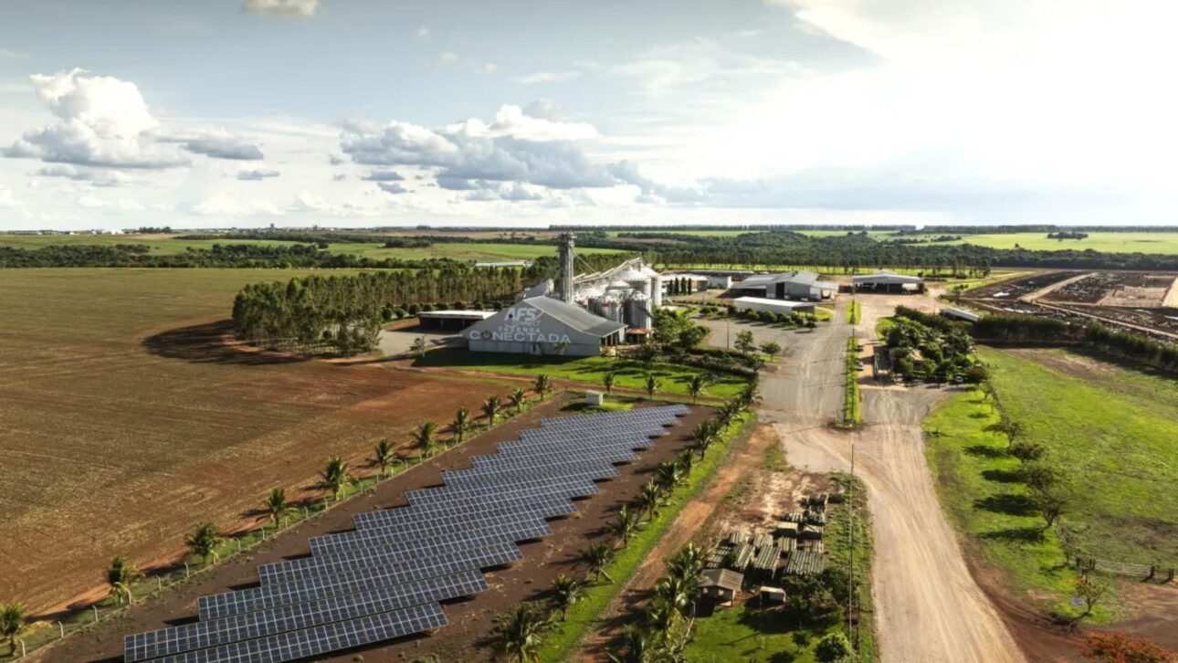 TIM avança no agro com foco em B2B, grandes produtores e conectividade no campo.