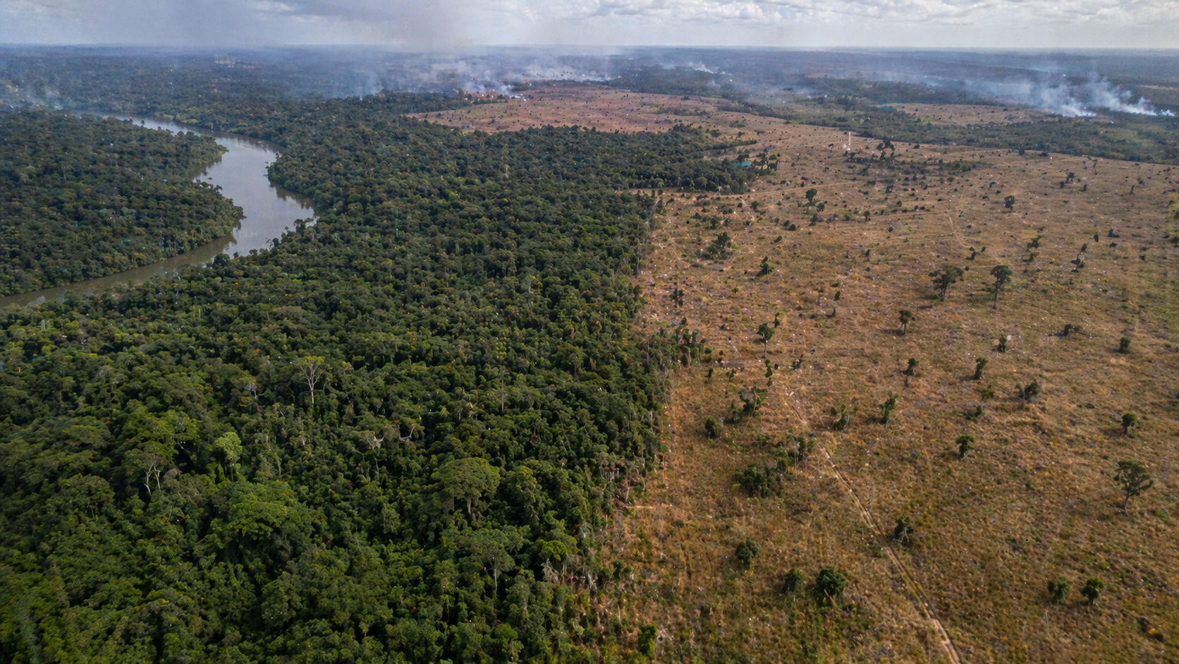 Estudos indicam que até 47% da Amazônia pode colapsar até 2050, afetando chuvas no Brasil e transformando a floresta em savana.