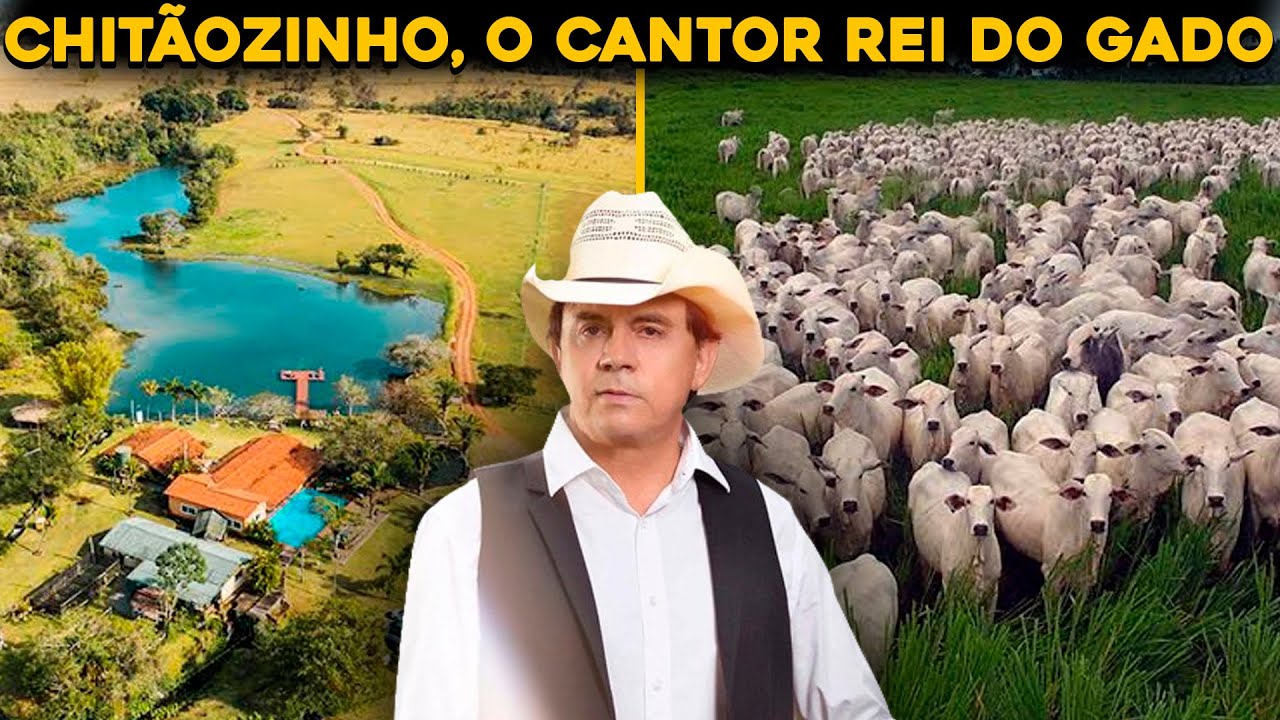 Chitãozinho, aos 71 anos, batizou sua fazenda com o nome do primeiro álbum da carreira; a Galopeira, em Mozarlândia (GO), tem 990 hectares, abriga 10 mil cabeças de gado Nelore de elite e, em 2025, passou a produzir soja em parceria com uma multinacional presente em 130 países