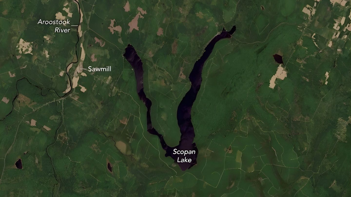 No meio de uma das regiões mais áridas do planeta, círculos de até 1 km surgem no sudeste da Líbia como marcas visíveis do espaço e revelam fazendas gigantes que bombeiam água fóssil escondida sob o deserto há milhares de anos