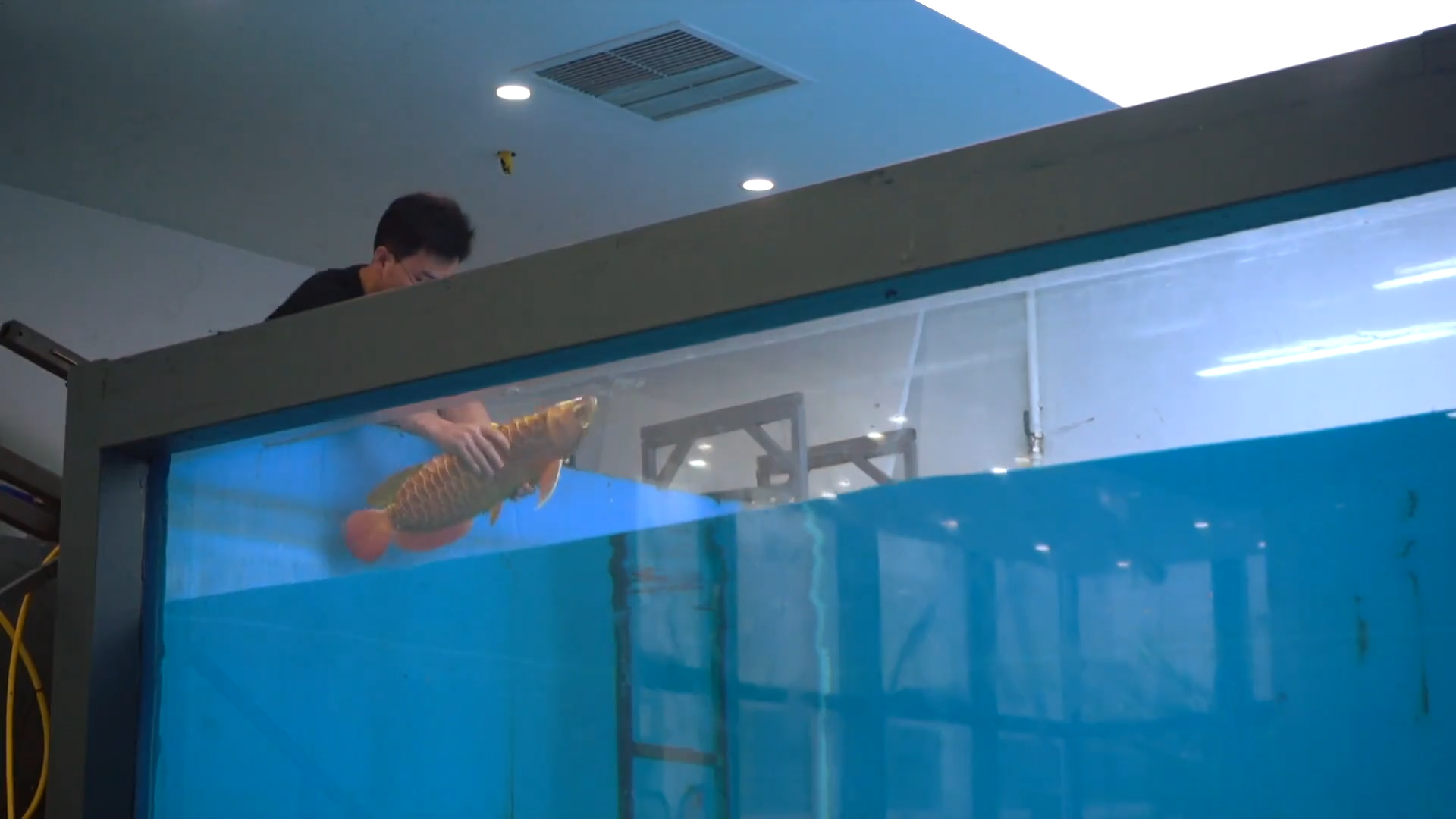Engenheiros chineses desenvolvem peixe-robô biônico com sensores e inteligência artificial capaz de nadar como um animal real e operar de forma autônoma, tecnologia que avança na disputa por domínio subaquático e pode transformar monitoramento, exploração e vigilância nos oceanos