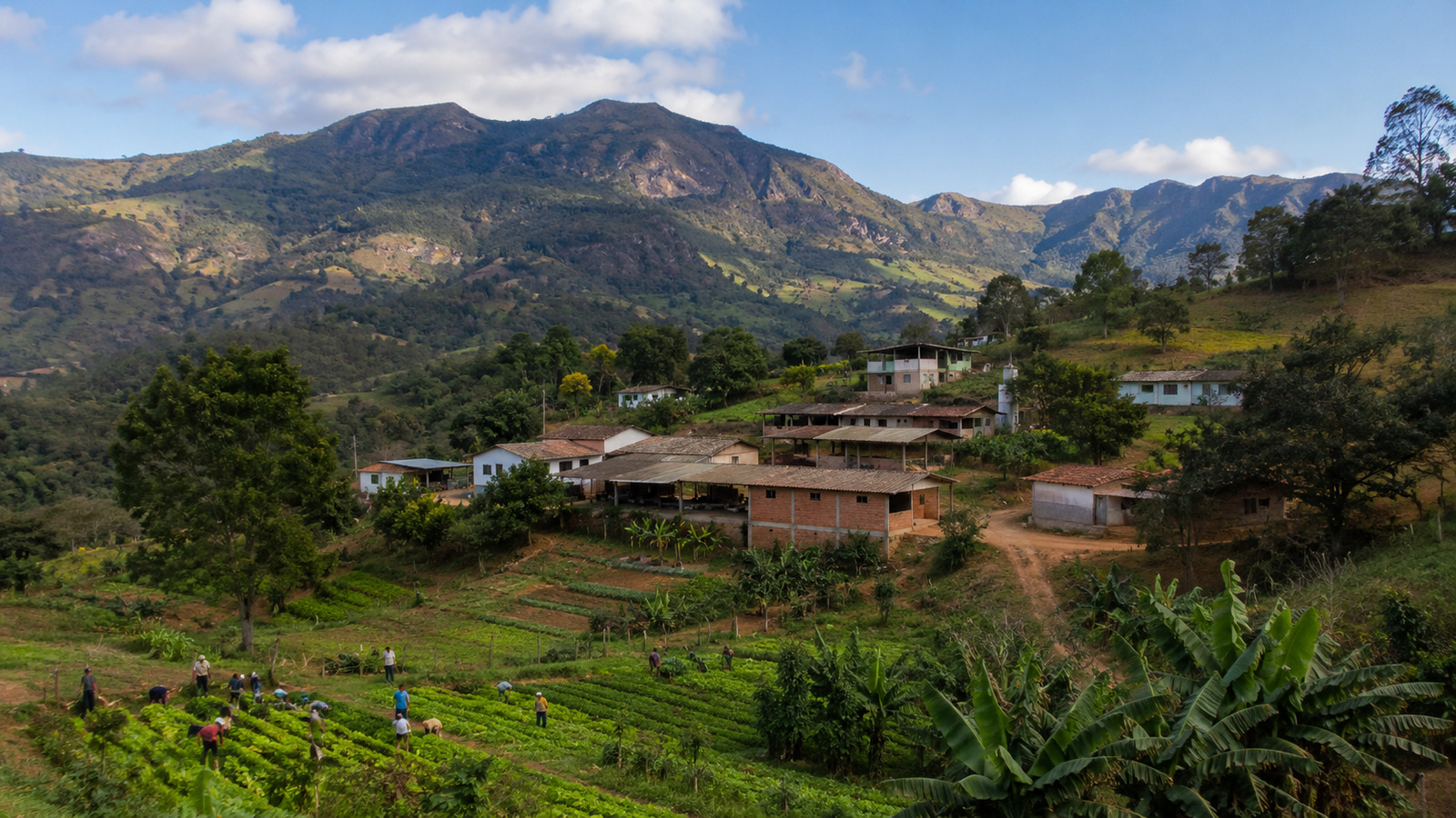Noiva do Cordeiro, Minas Gerais