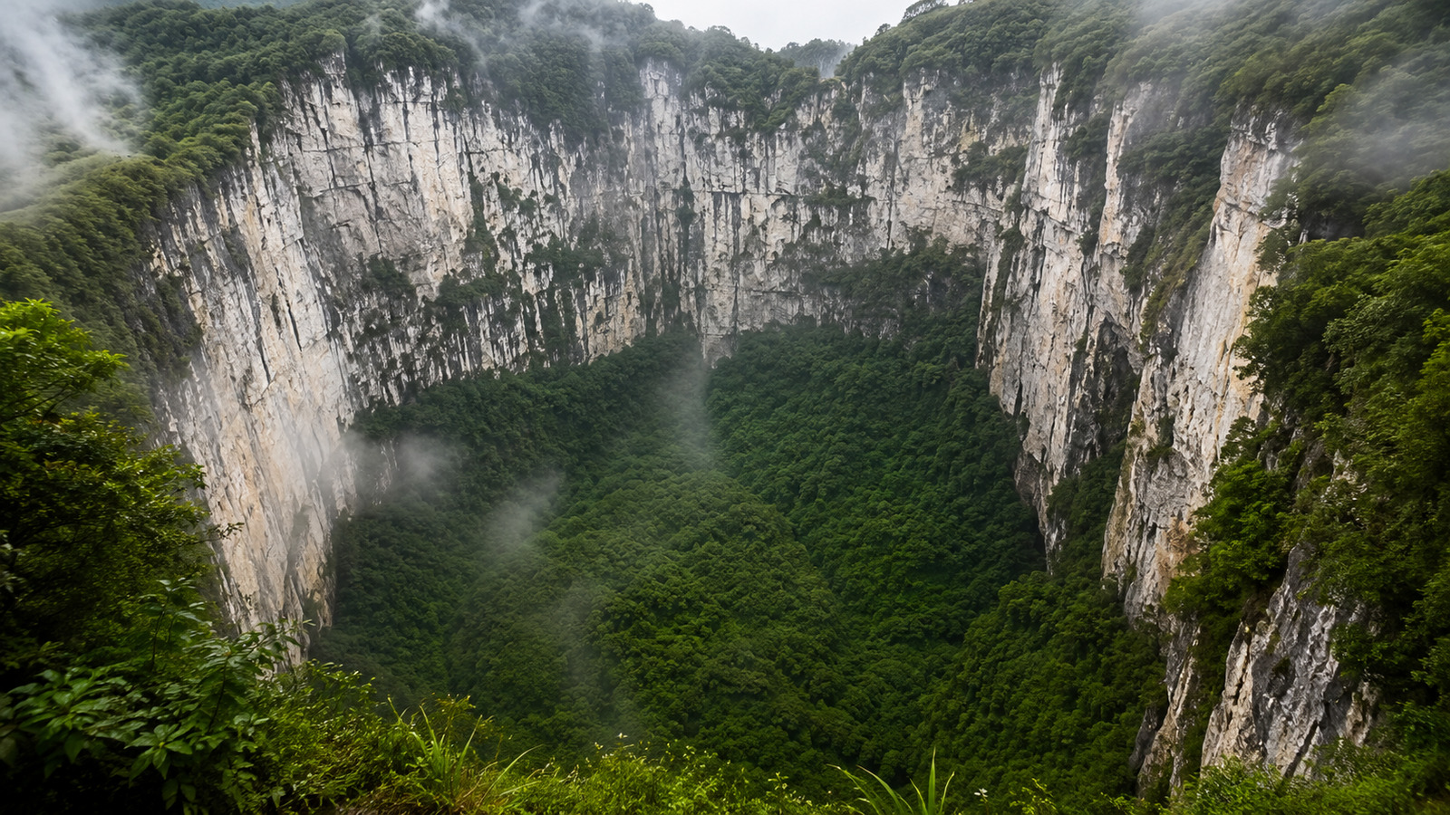 Floresta, Floresta na Dolina, Buraco