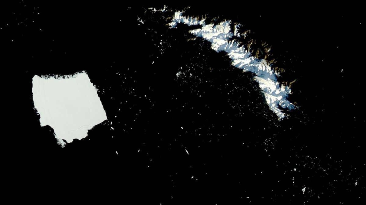 Milhares de pequenos icebergs se desprenderam do A23a no início deste ano, e pedaços maiores estão agora se desprendendo do gigante de gelo, dizem os cientistas.
(Crédito da imagem: NASA/Aqua)