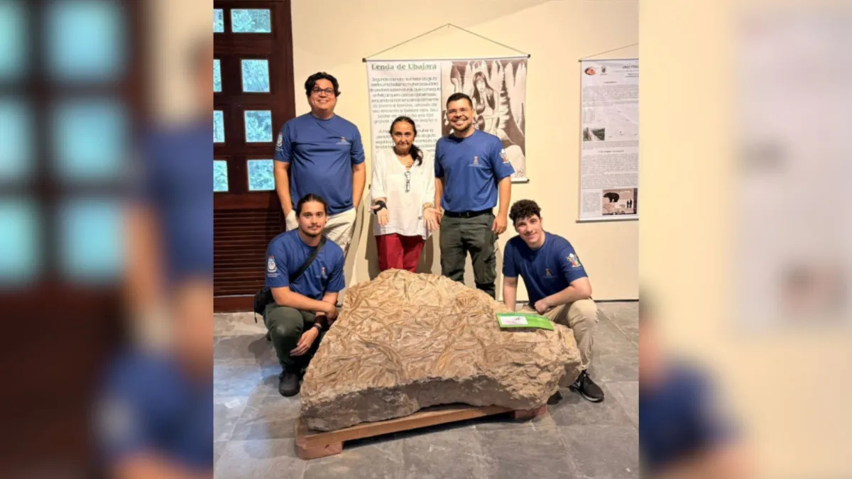 A descoberta reforça a evidência de que a Serra da Ibiapaba já abrigou um antigo mar • Imagem: Reprodução/Labopaleo/UVA