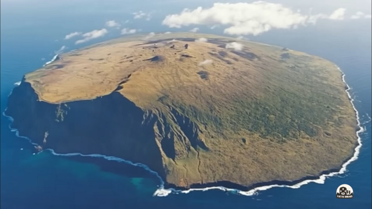 Ilha Vacas, Ilha