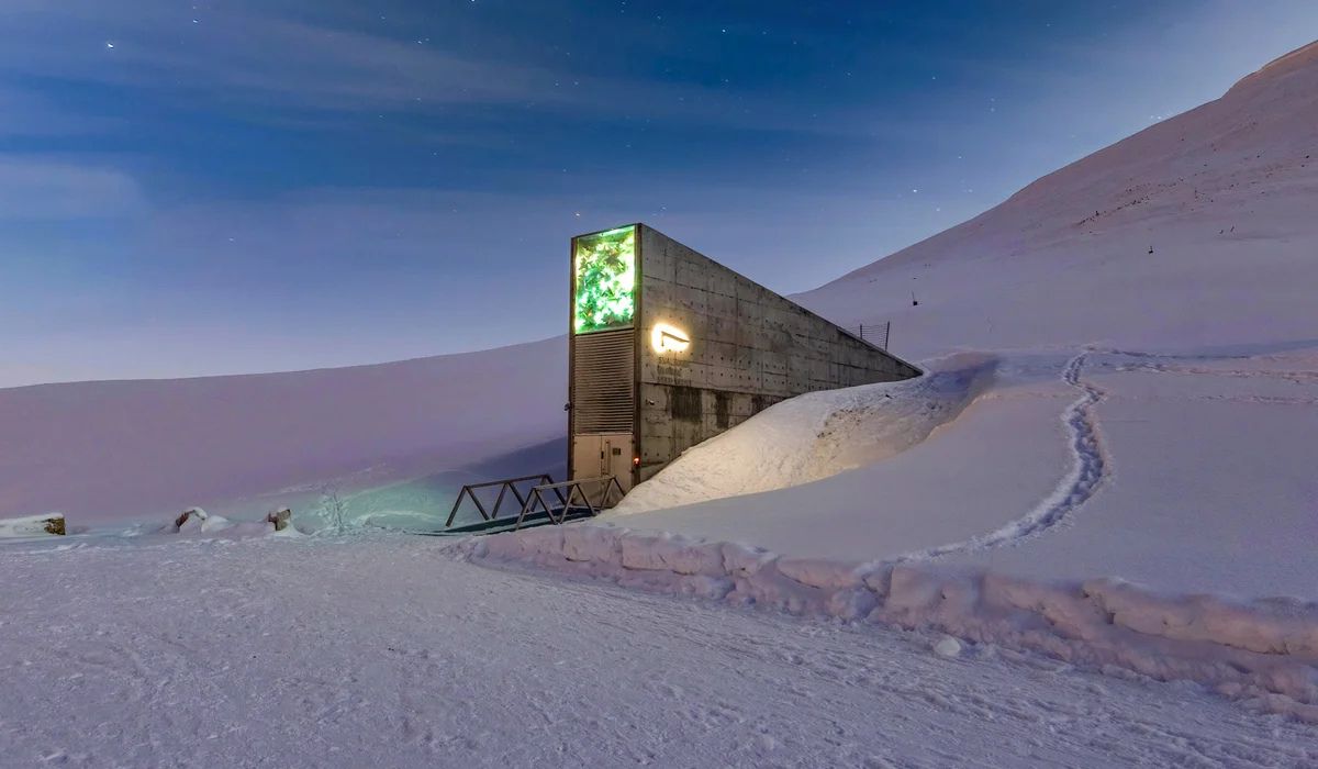 Enterrado nas profundezas do permafrost da ilha de Spitsbergen, o Banco Mundial de Sementes de Svalbard abre suas portas para o mundo com o lançamento de um novo tour virtual para comemorar seu 15º aniversário. Imagem: NordGen