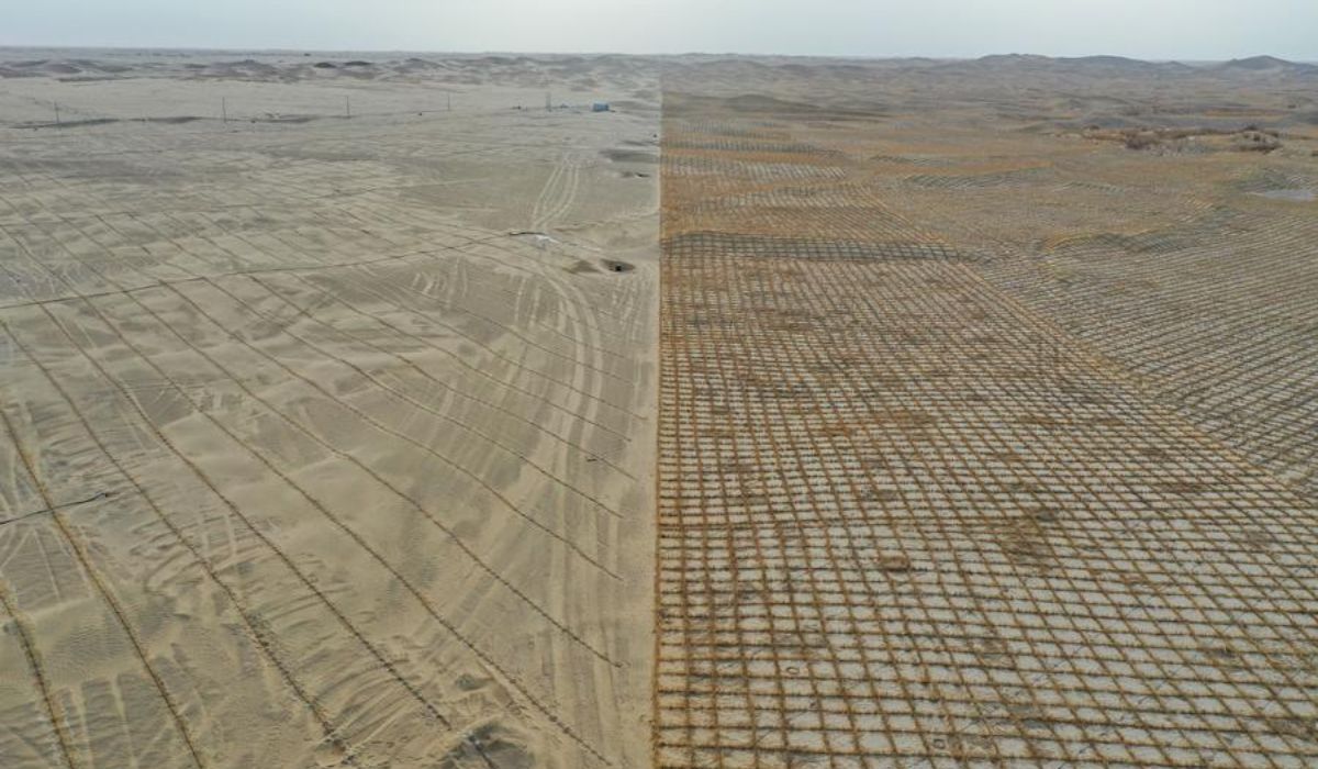 Imagem Reprodução/Xinhua/Ding Lei