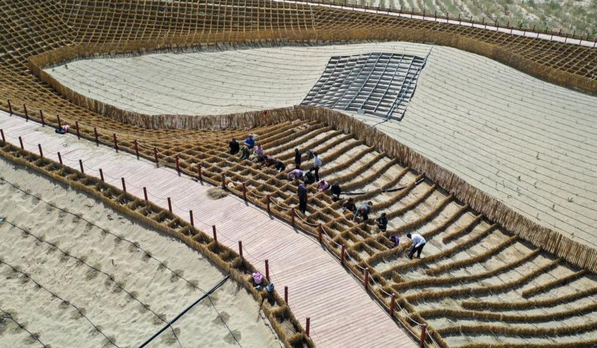 Uma foto aérea feita por drone mostra moradores construindo barreiras de palha em formato de tabuleiro de xadrez - Imagem Reprodução/Xinhua/Ding Lei