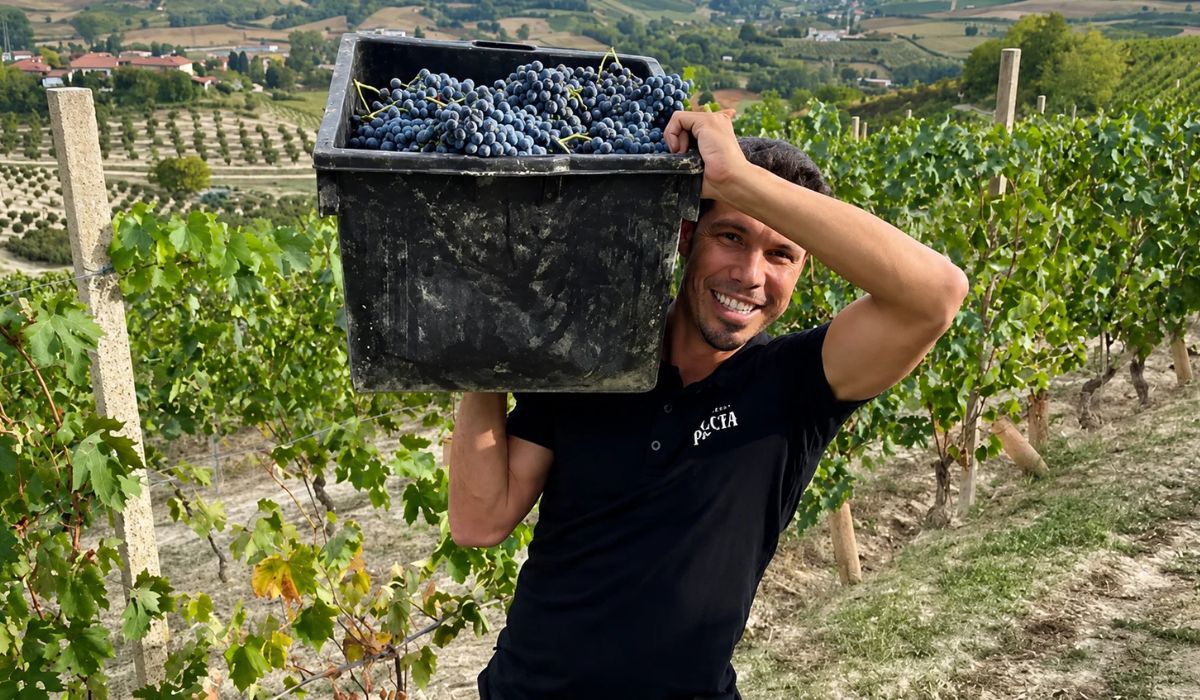 Hernanes, ídolo do São Paulo, produz vinhos na Itália e comanda vinícola, restaurante e hospedagem no Piemonte após deixar o futebol. (Imagem: Reprodução)